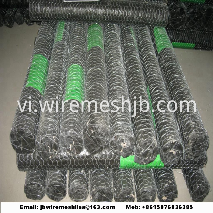 Galvanized Hexagonal Wire Netting